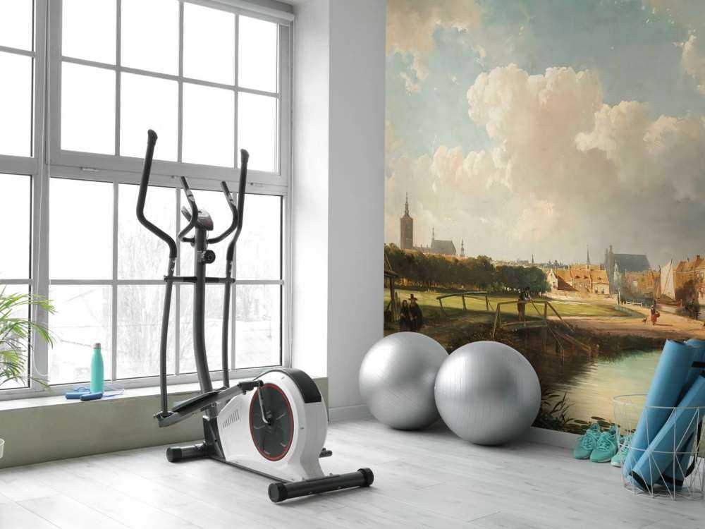 Udsigt over Haag fra Delft-kanalen i det syttende århundrøde