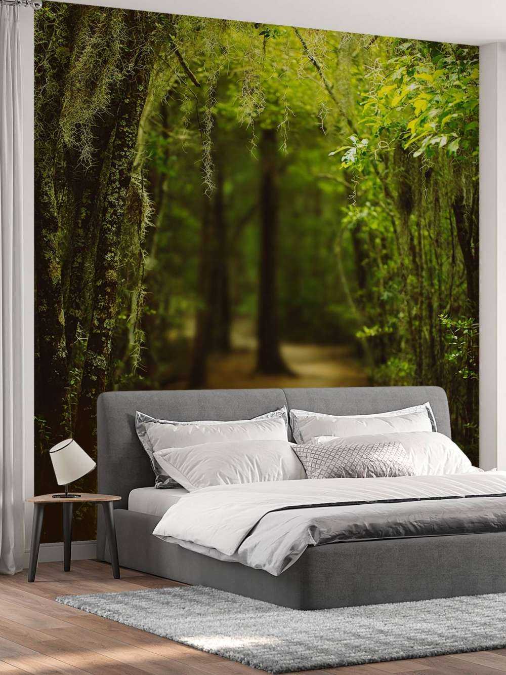 Spansk skov fuld af mos