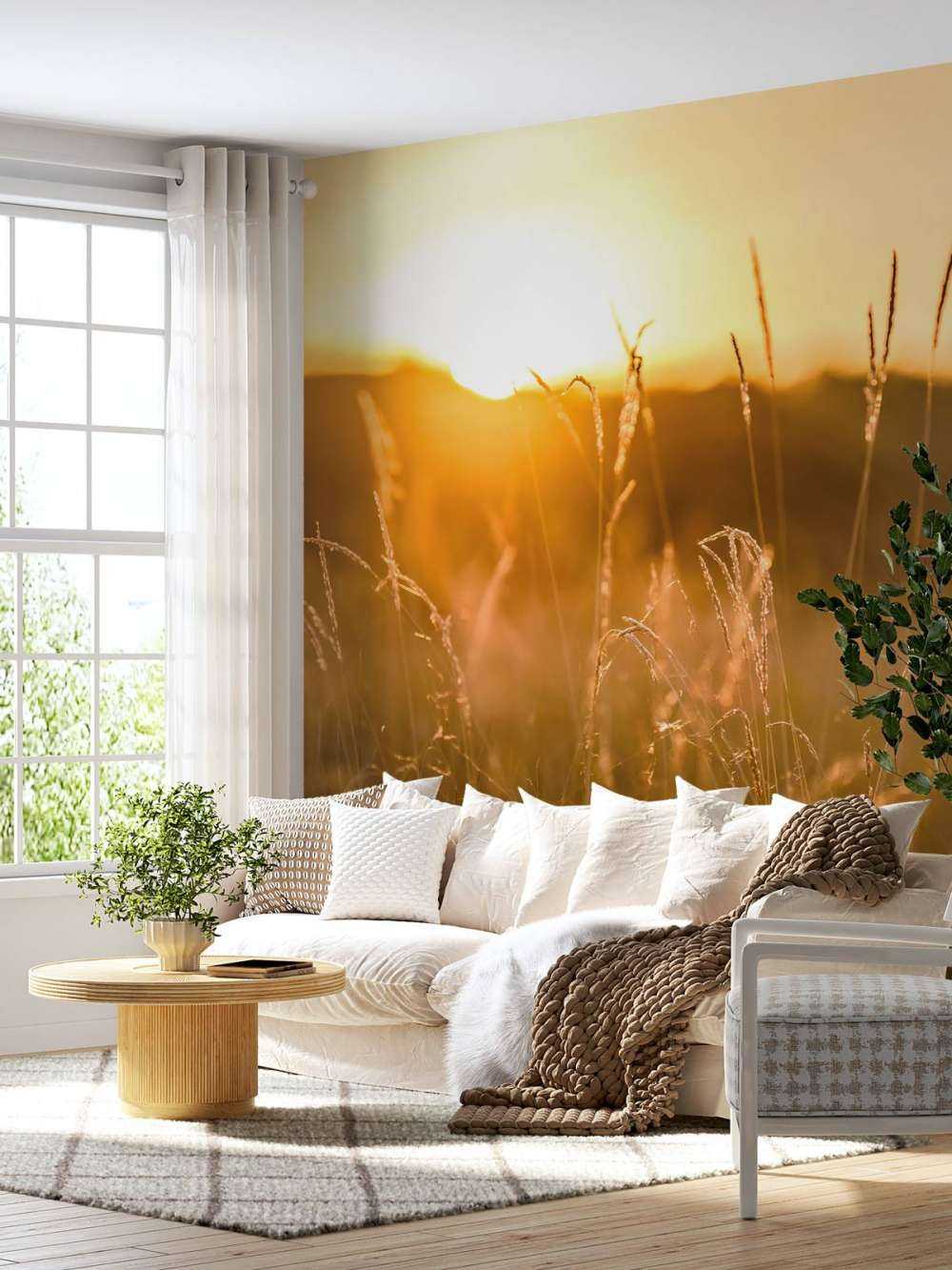 Solnedgang mellem kornet