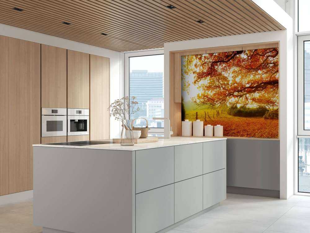 Efterår landskab med skov og eng