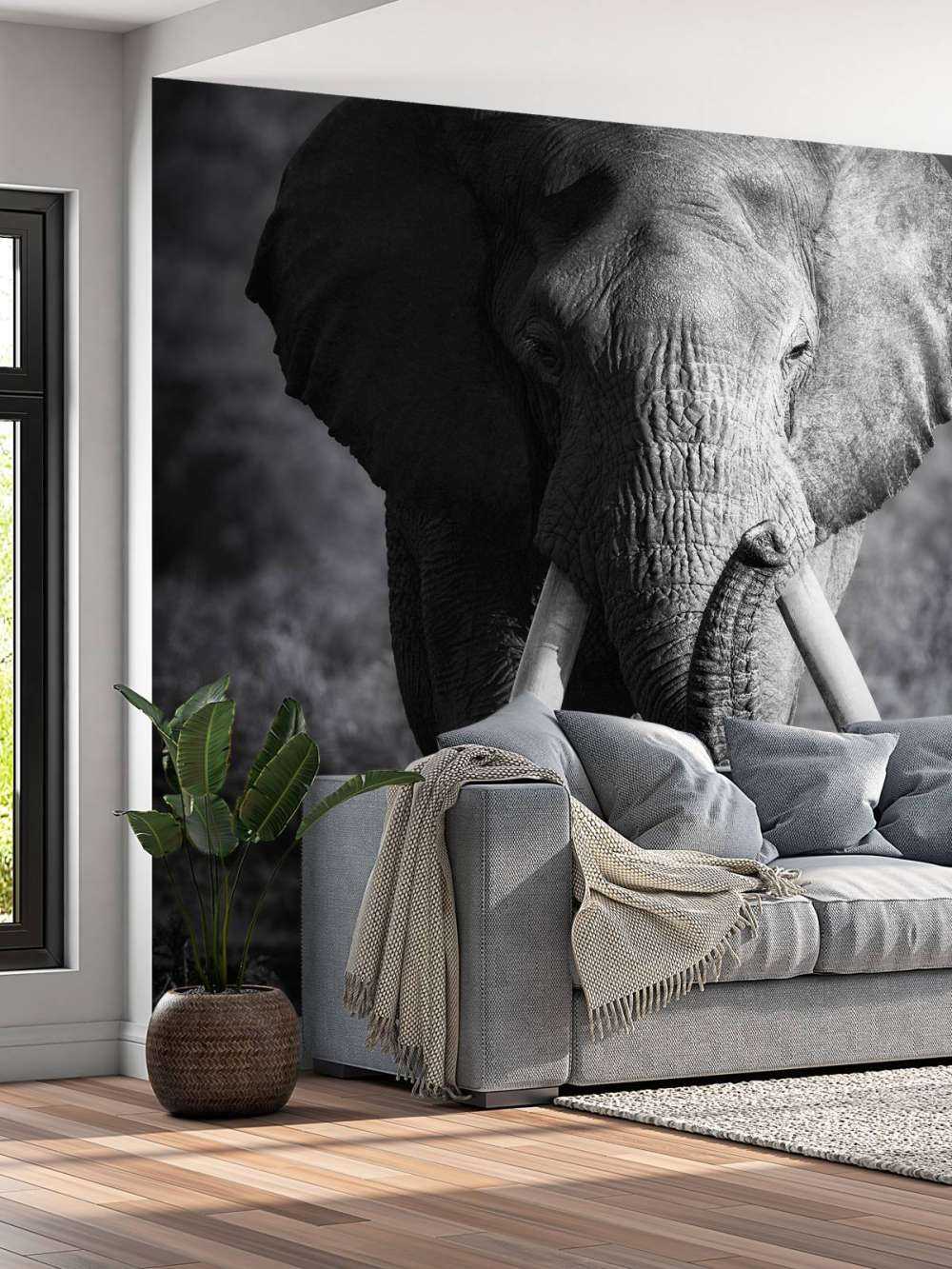 Afrikansk elefant