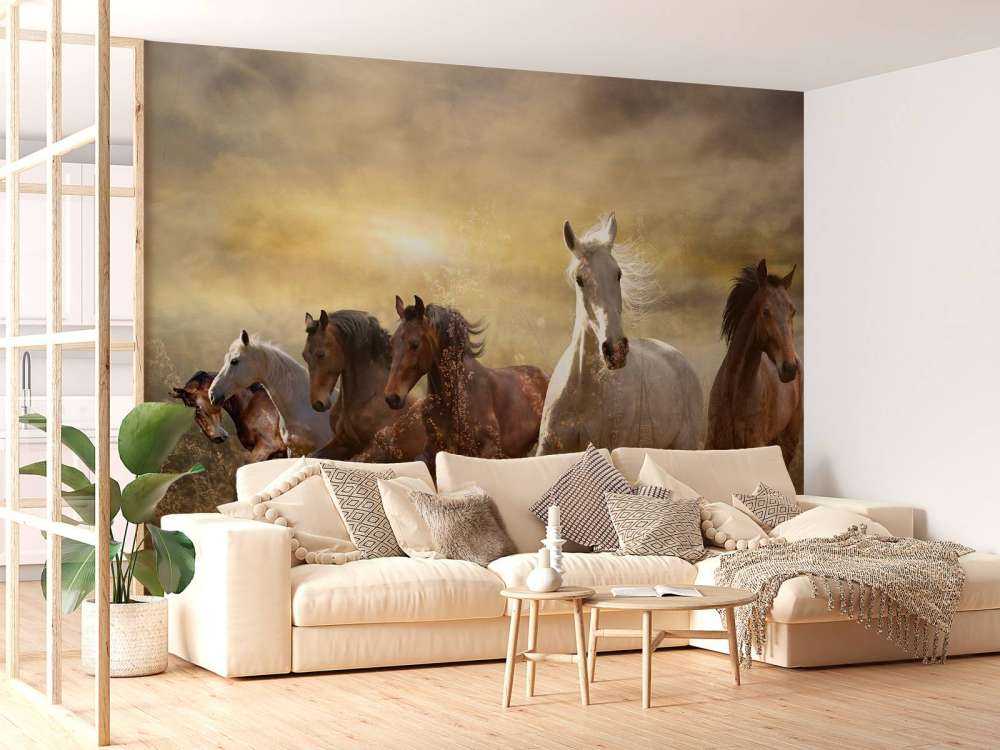 Galopperende heste ved solnedgang