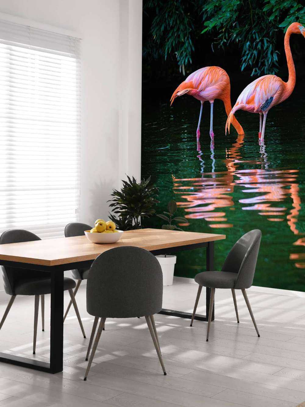 To bilibiske flamingoer