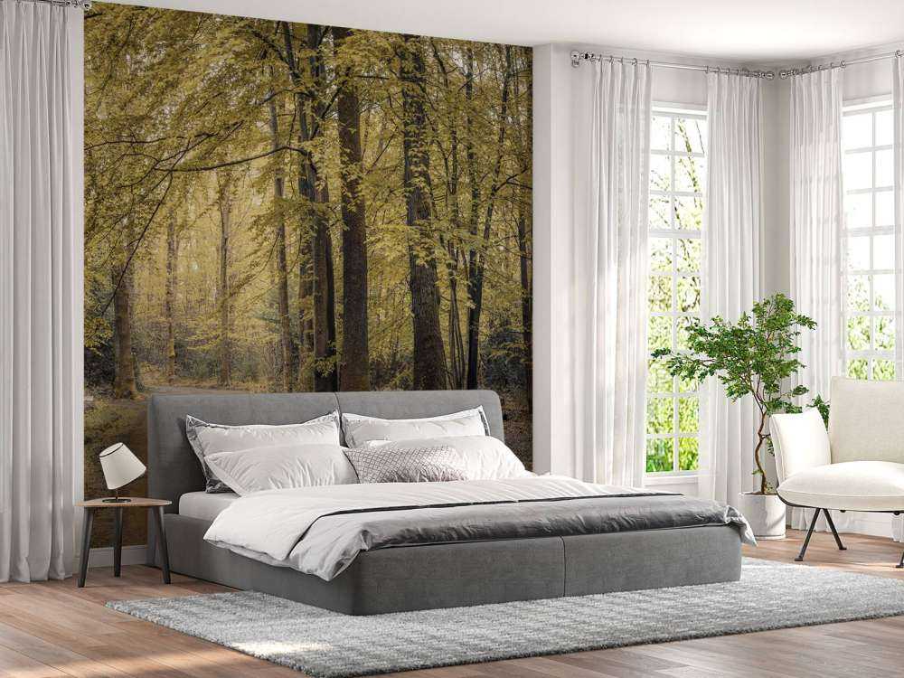 Väg genom den gröna skogen