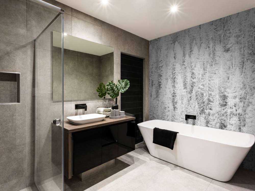 Barrträd i svart och vitt