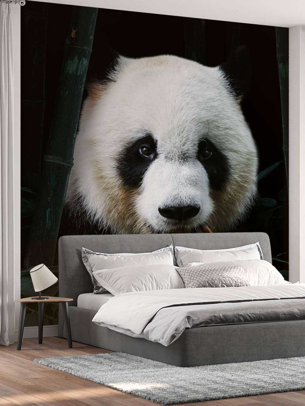 Panda Porträtt