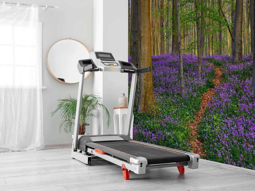 Fin stig genom skogen