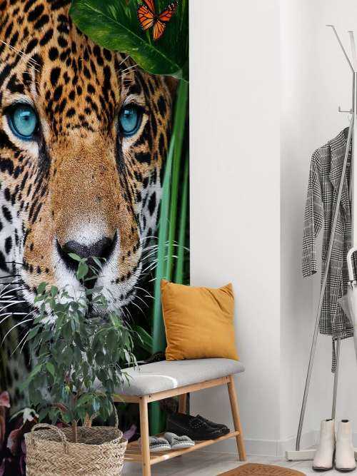 Jungle Leopard