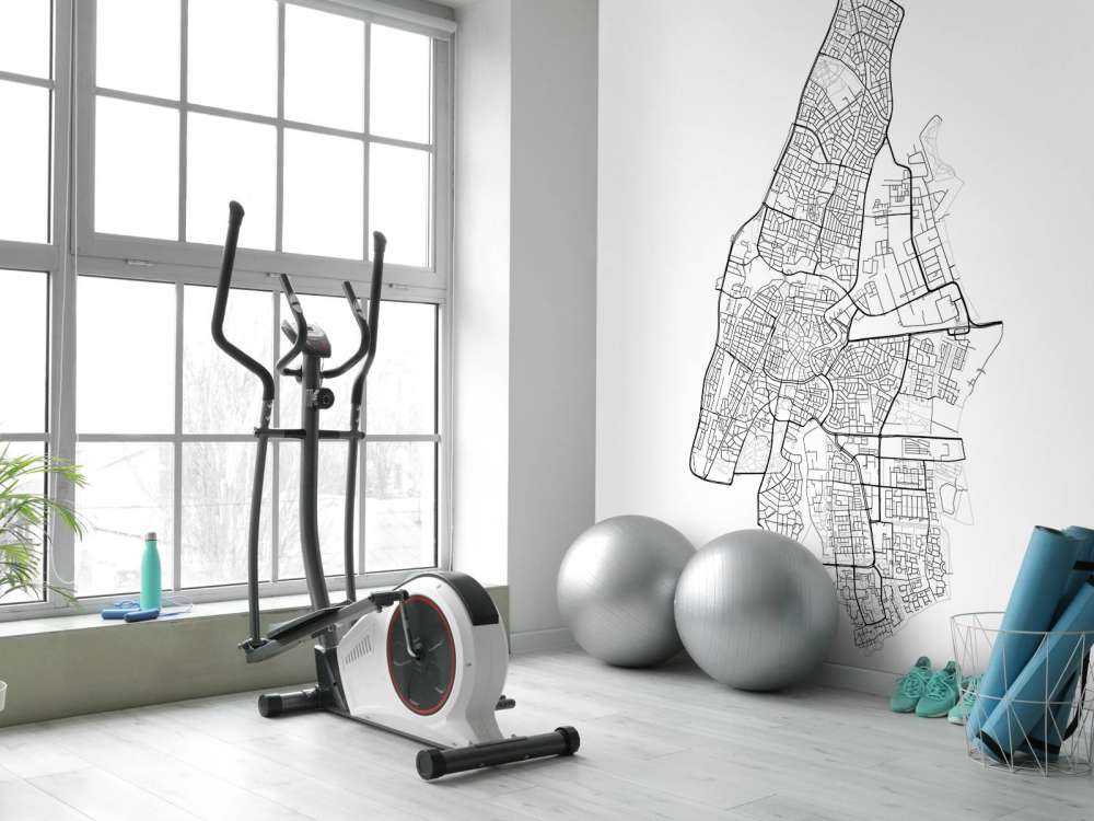 Karta över Haarlem, vit