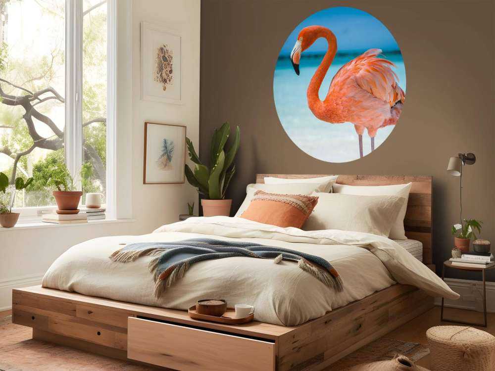 Tropiska flamingo