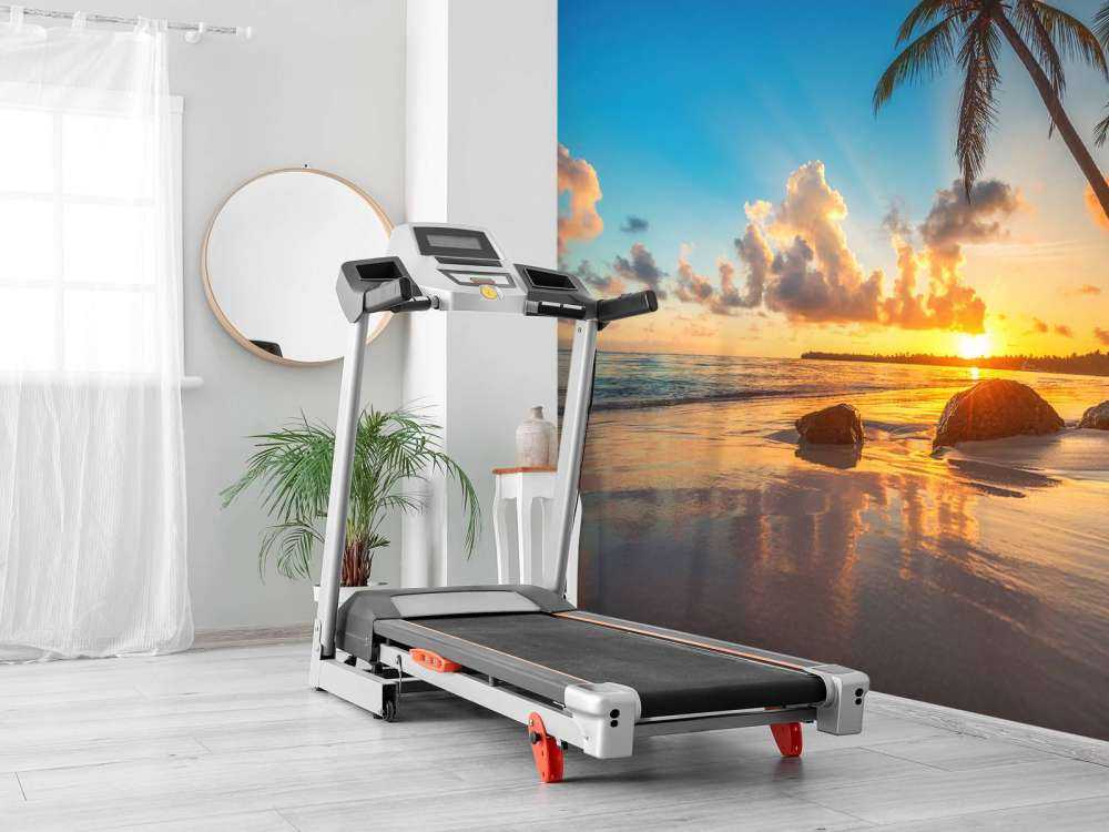 Palmer i solnedgången