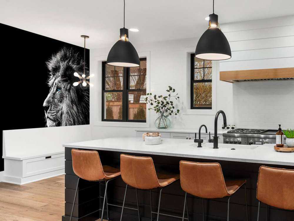 Lejon med blå ögon