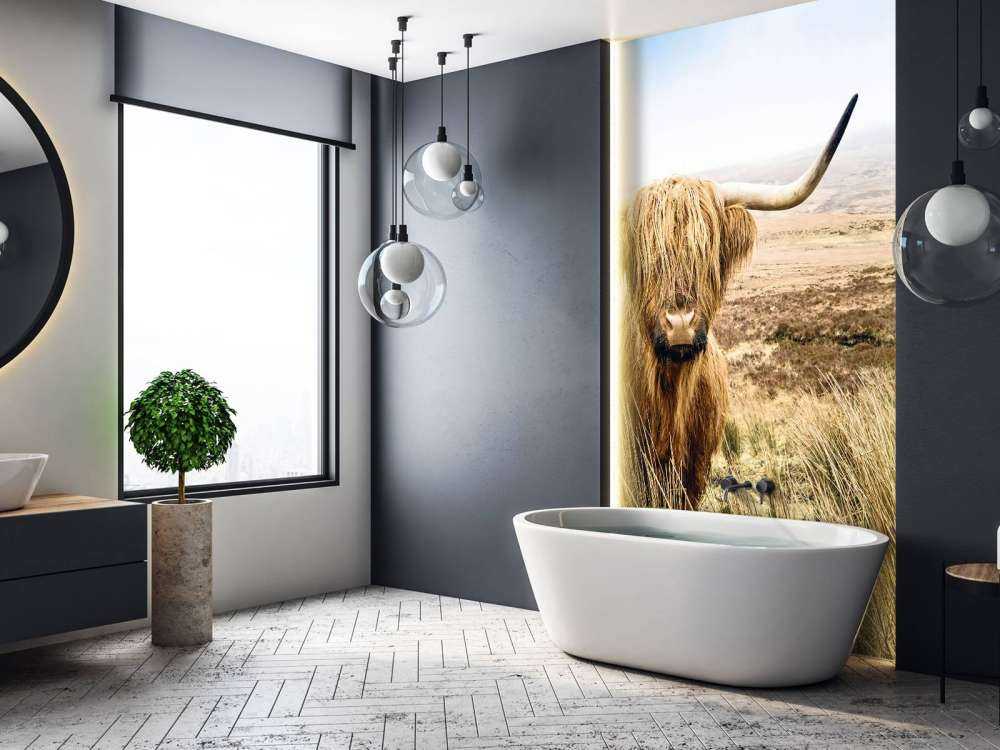 Skotsk hoglandare med vass