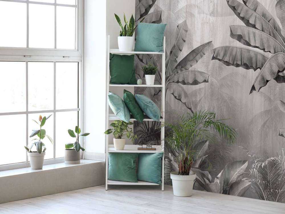 Tropiska nevelpalmer