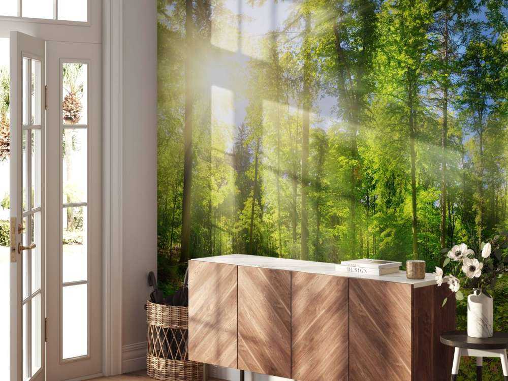 Skog med solstrålar