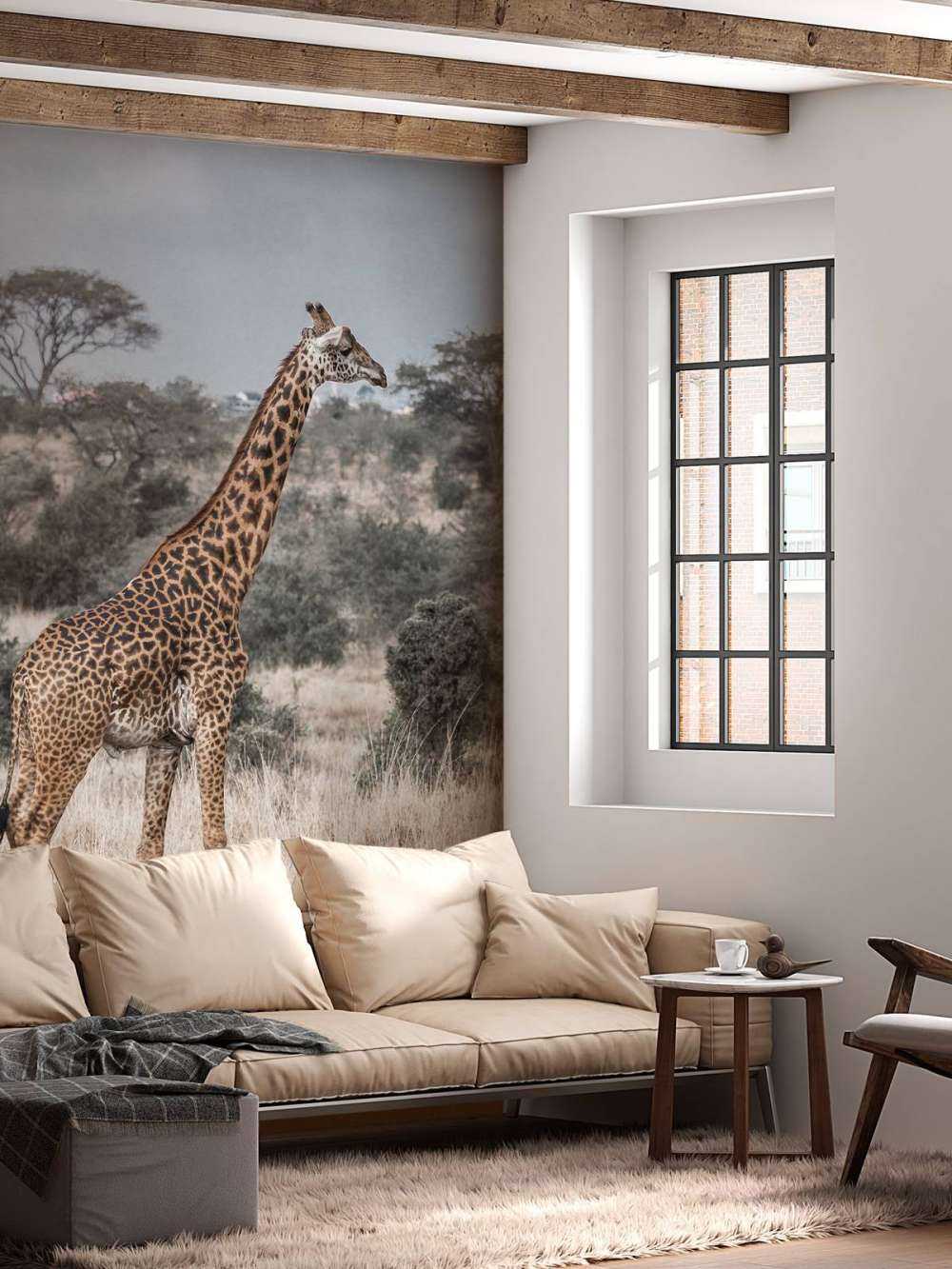 Giraff porträtt