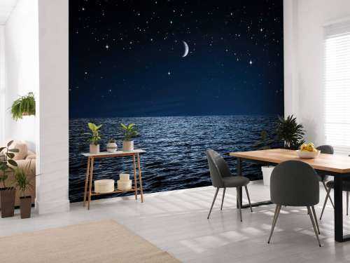 Stjärnklar himmel över havet