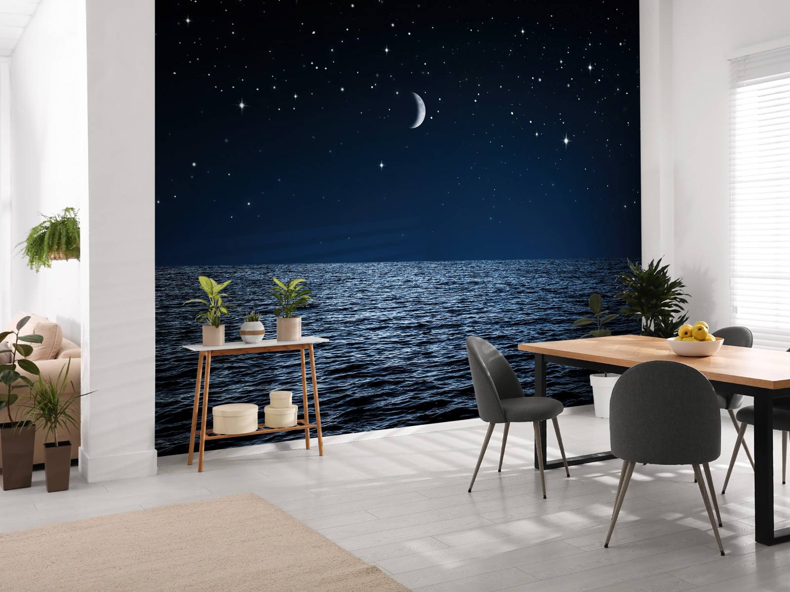 Stjärnklar himmel över havet