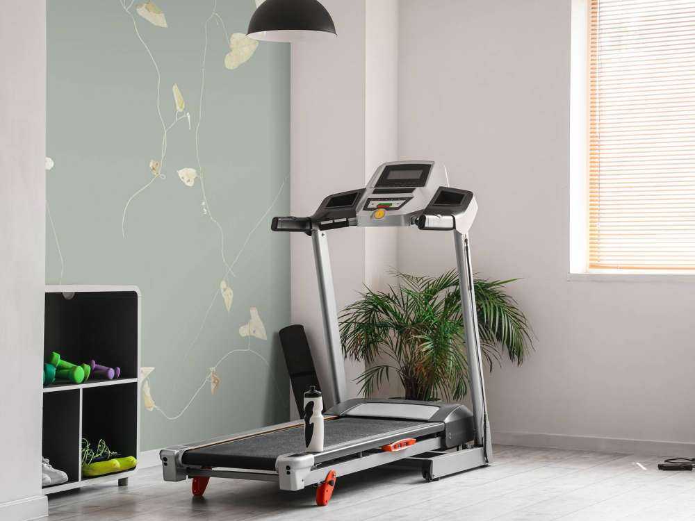 Hagtornsgrenar grå gröna