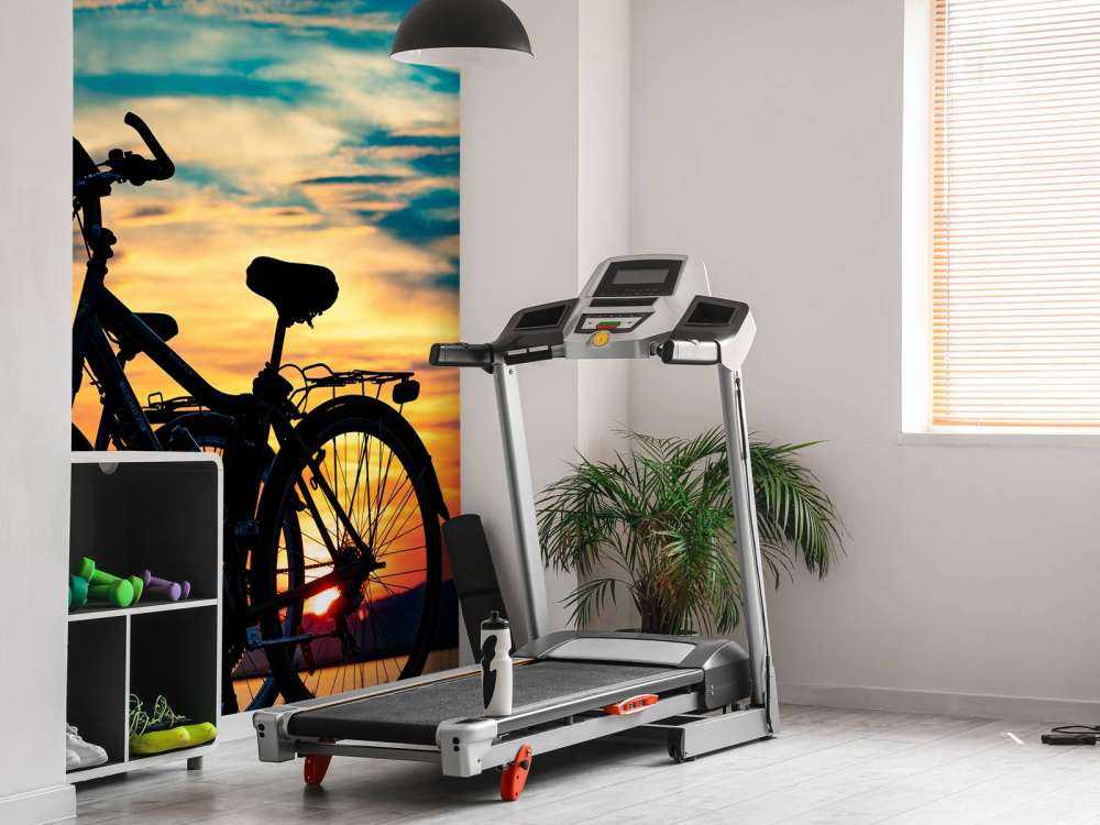 Cykling vid solnedgången