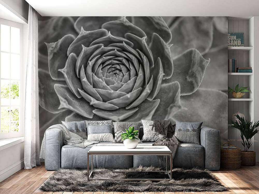 Närbild av saftiga växter