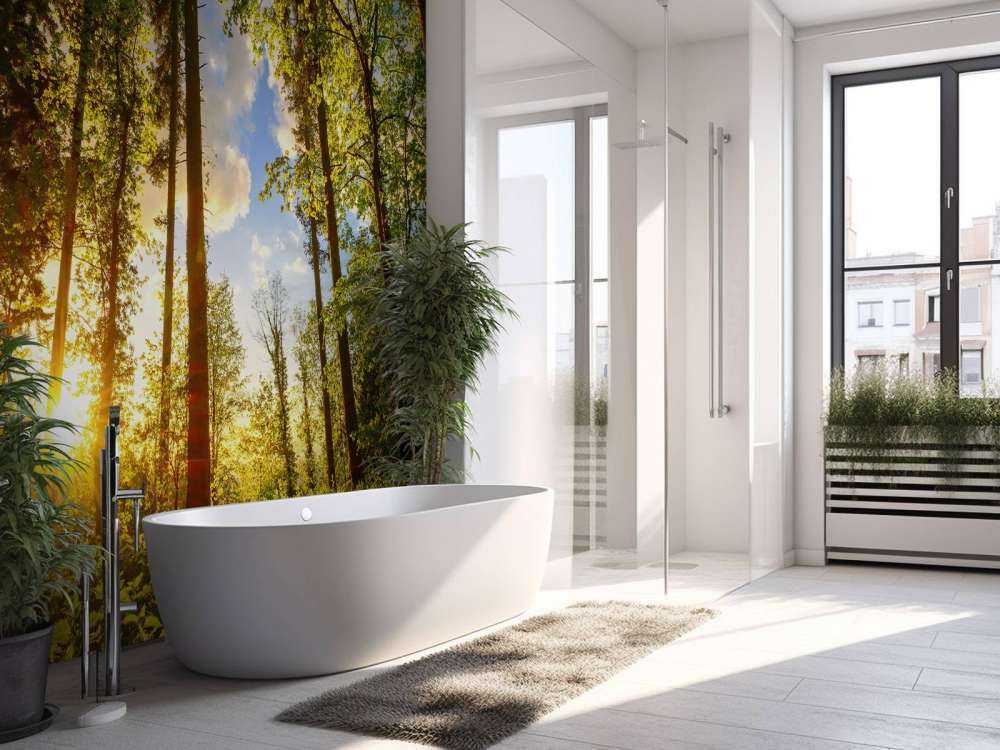 Solnedgång genom träden