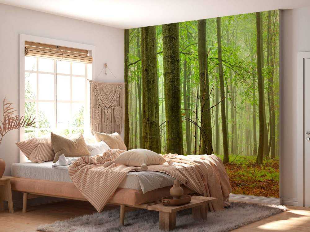 Skog av bokträd