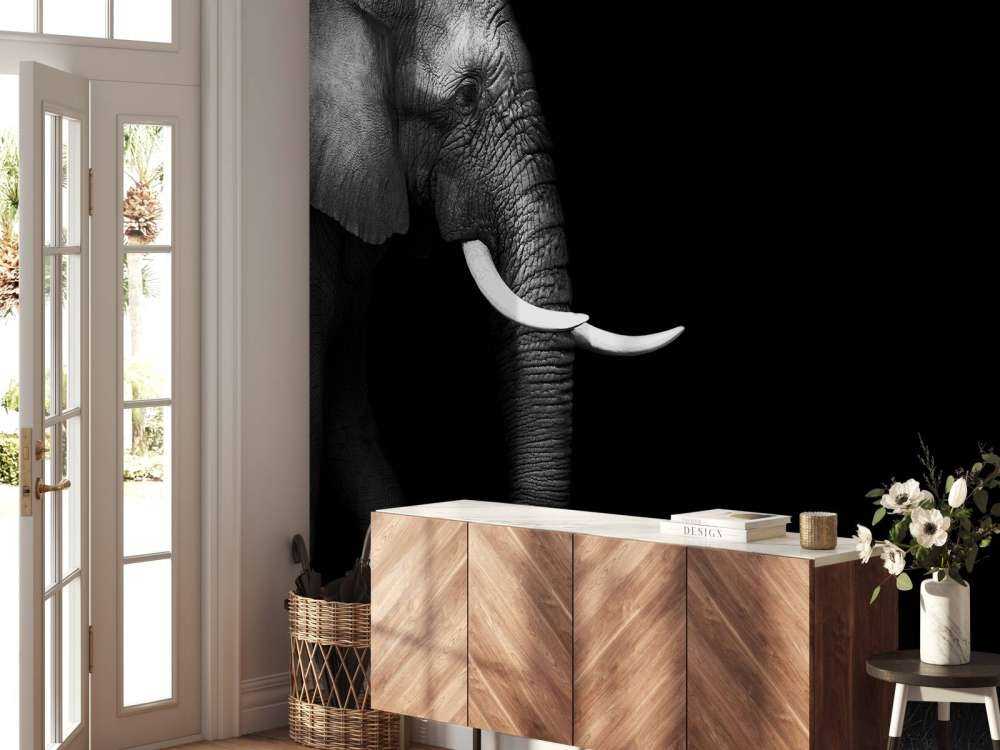 Elefant på gräs