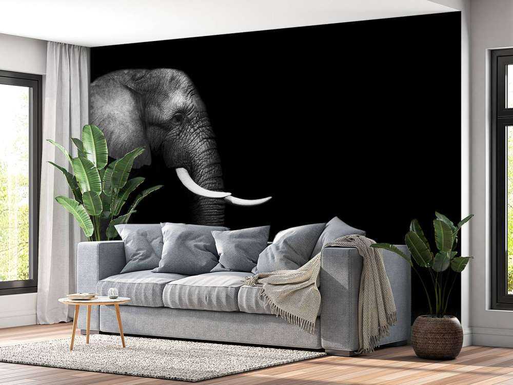 Elefant på gräs