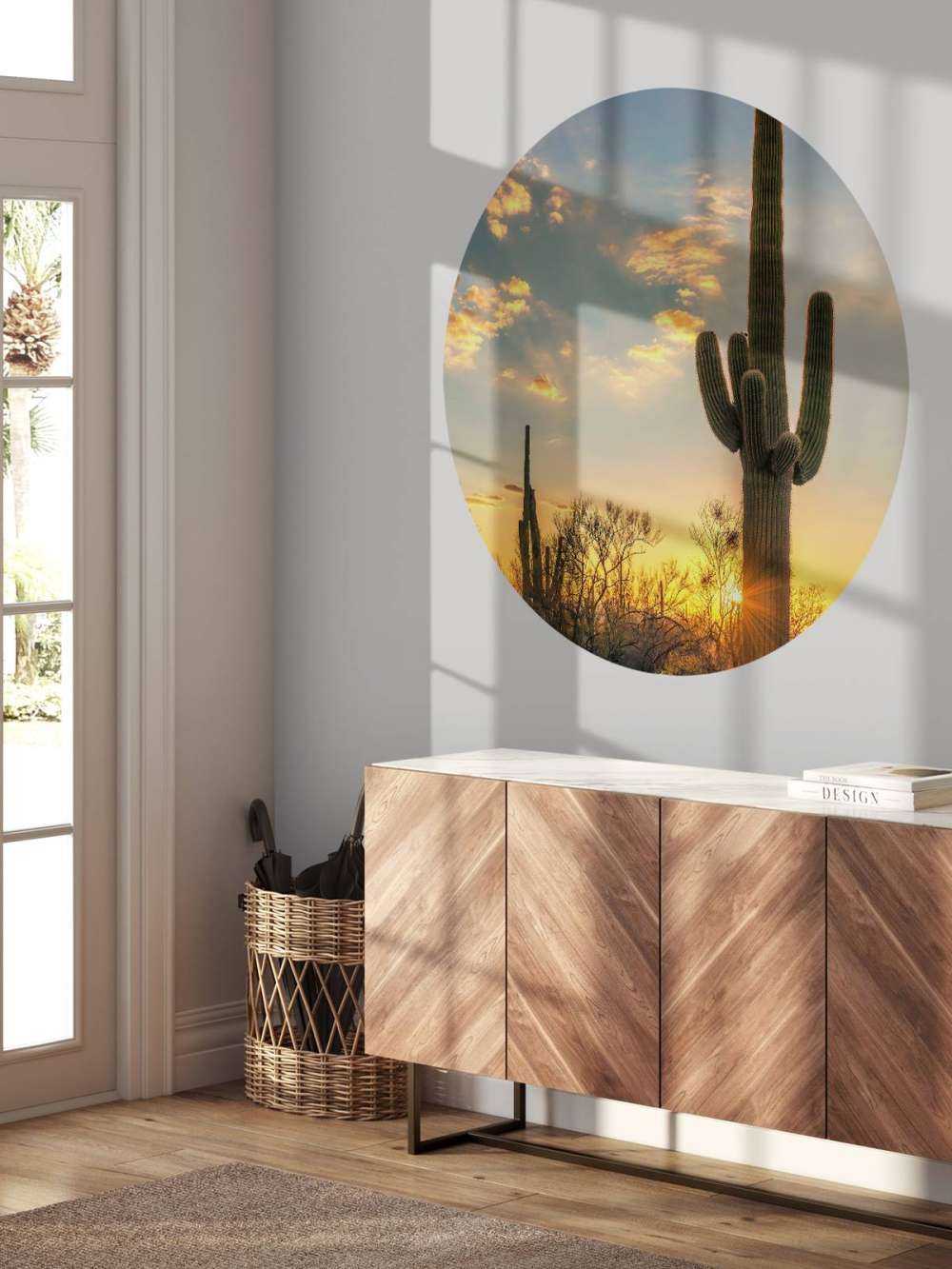 Kaktus vid solnedgången