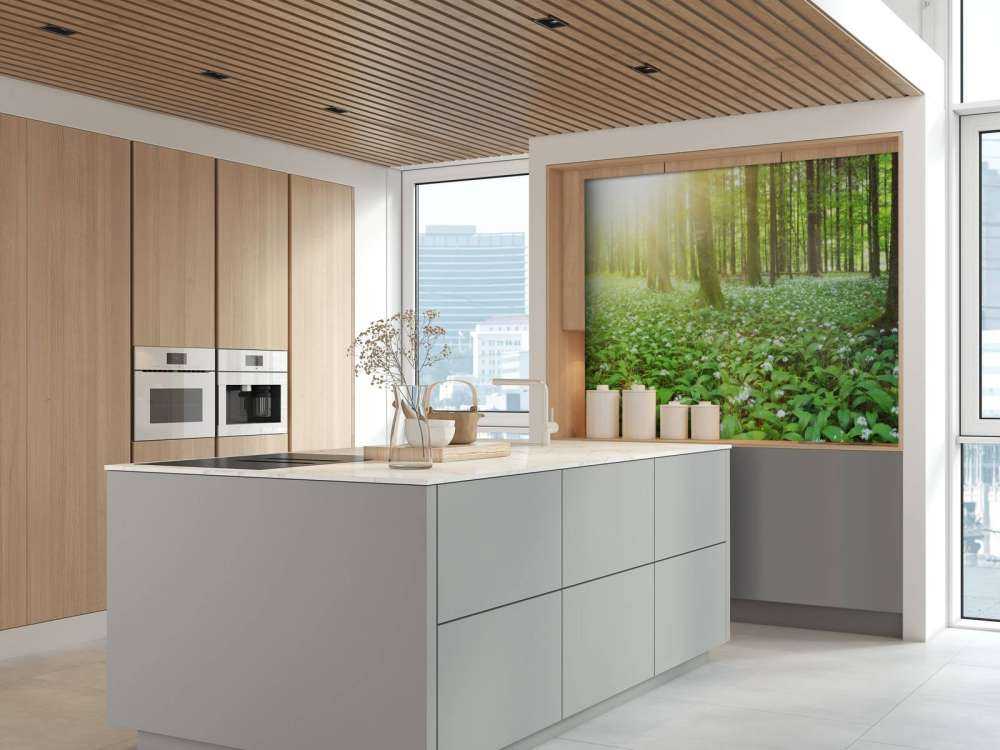 Vild skog vid soluppgång