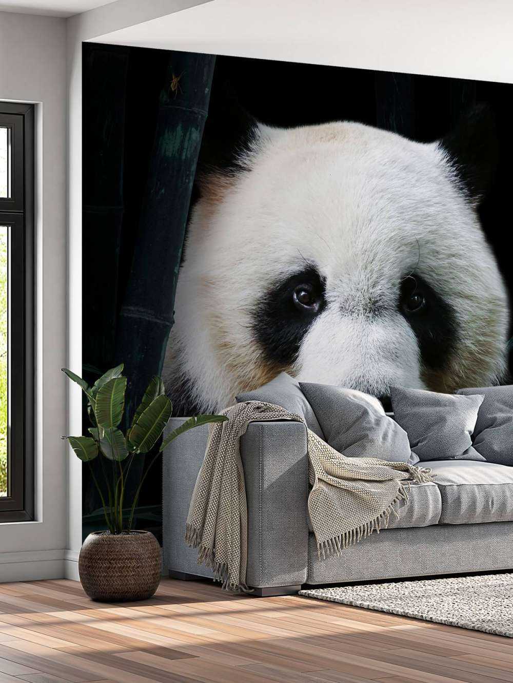 Panda Porträtt