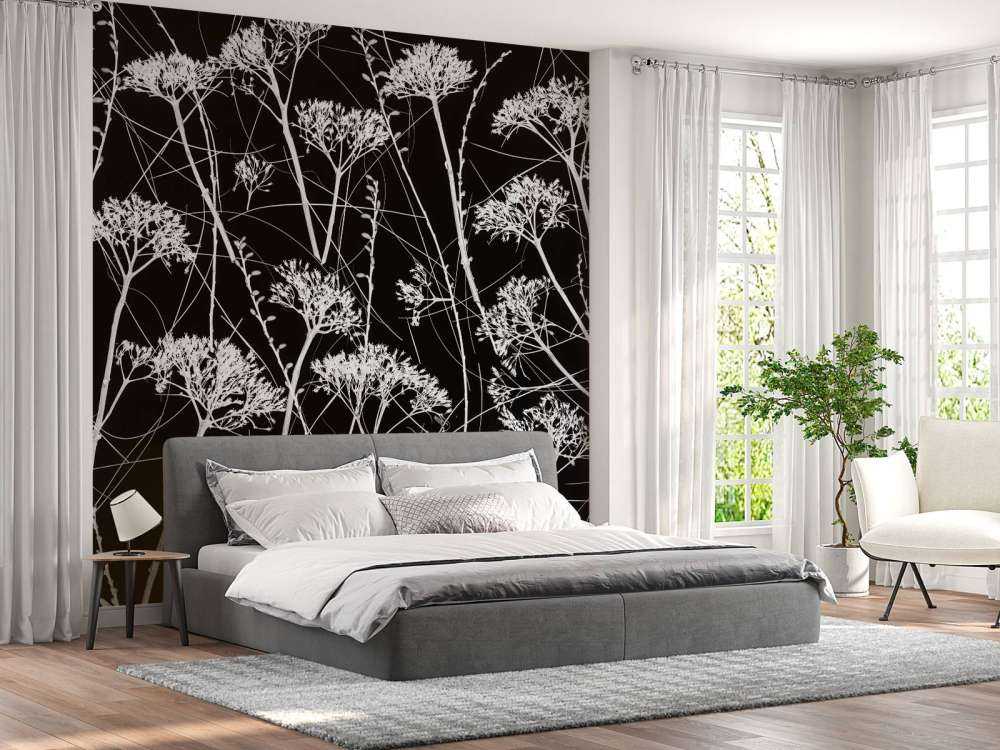 Siluett av torkade växter