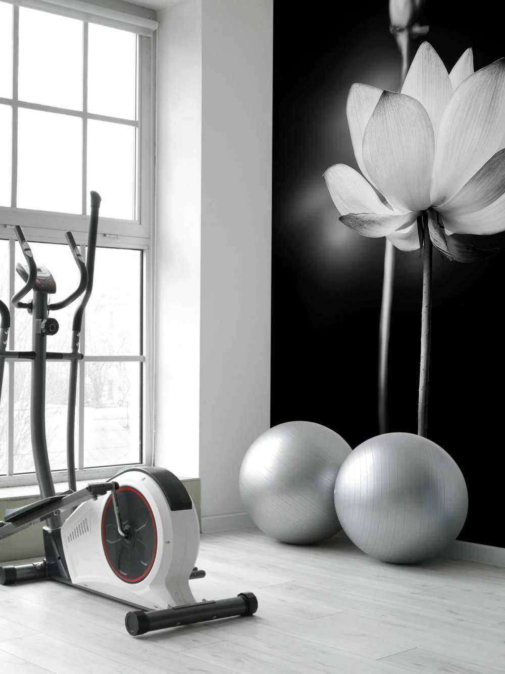 Lotus blommar svartvitt