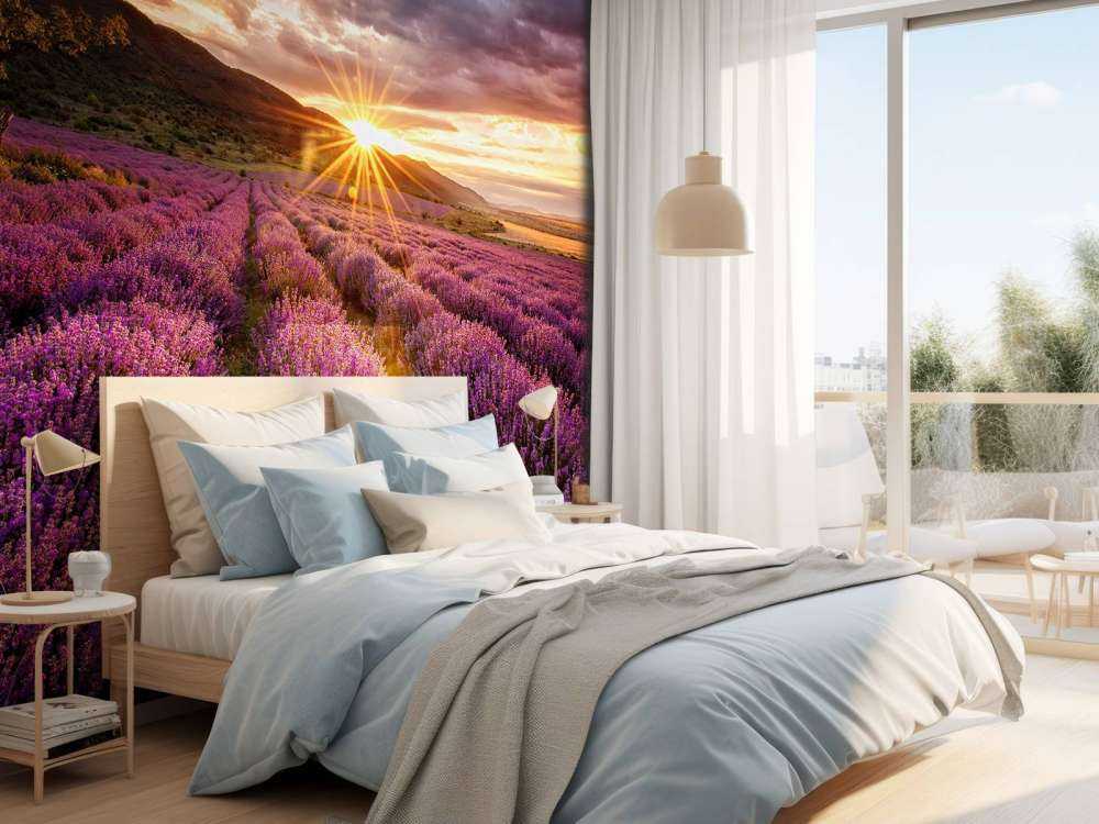 Lavendel under solen