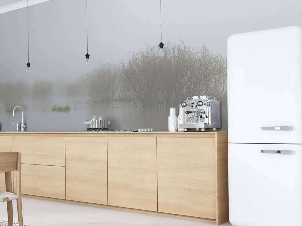 Dimma i naturreservat