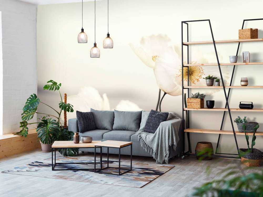 Närbild för vallmo