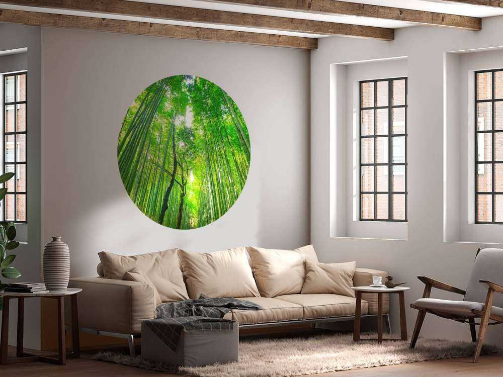 Bambuskog i Arashiyama