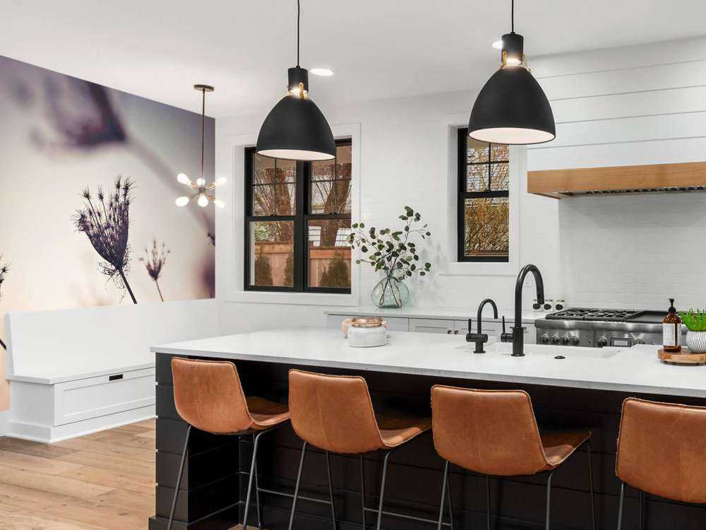 Silhuetter av växter