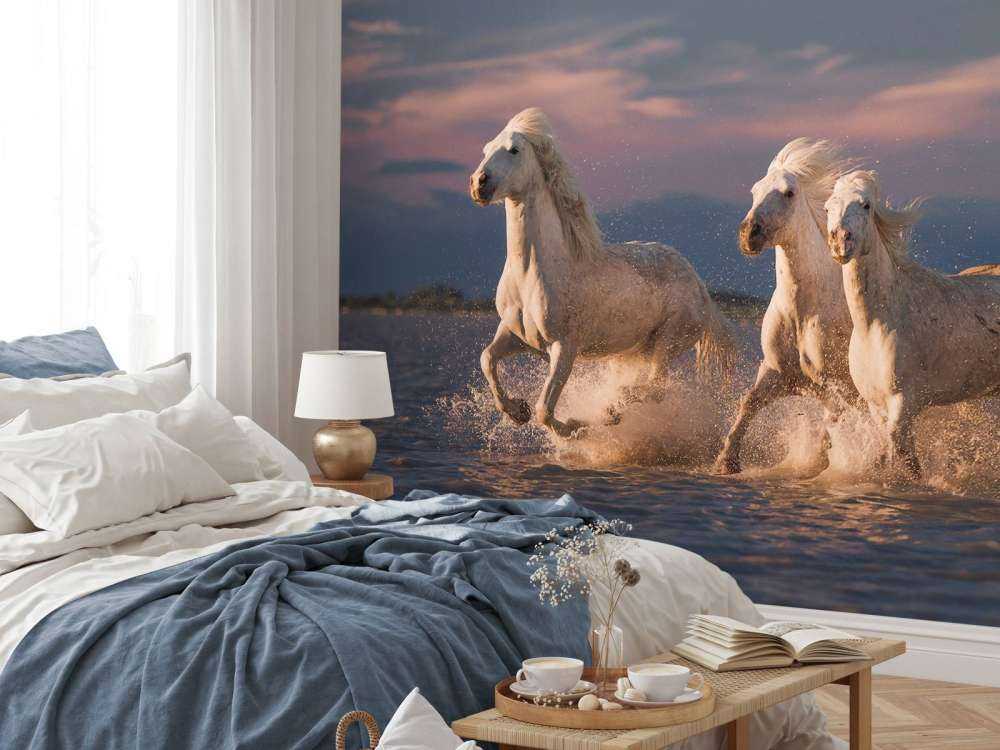 Angels of Camargue