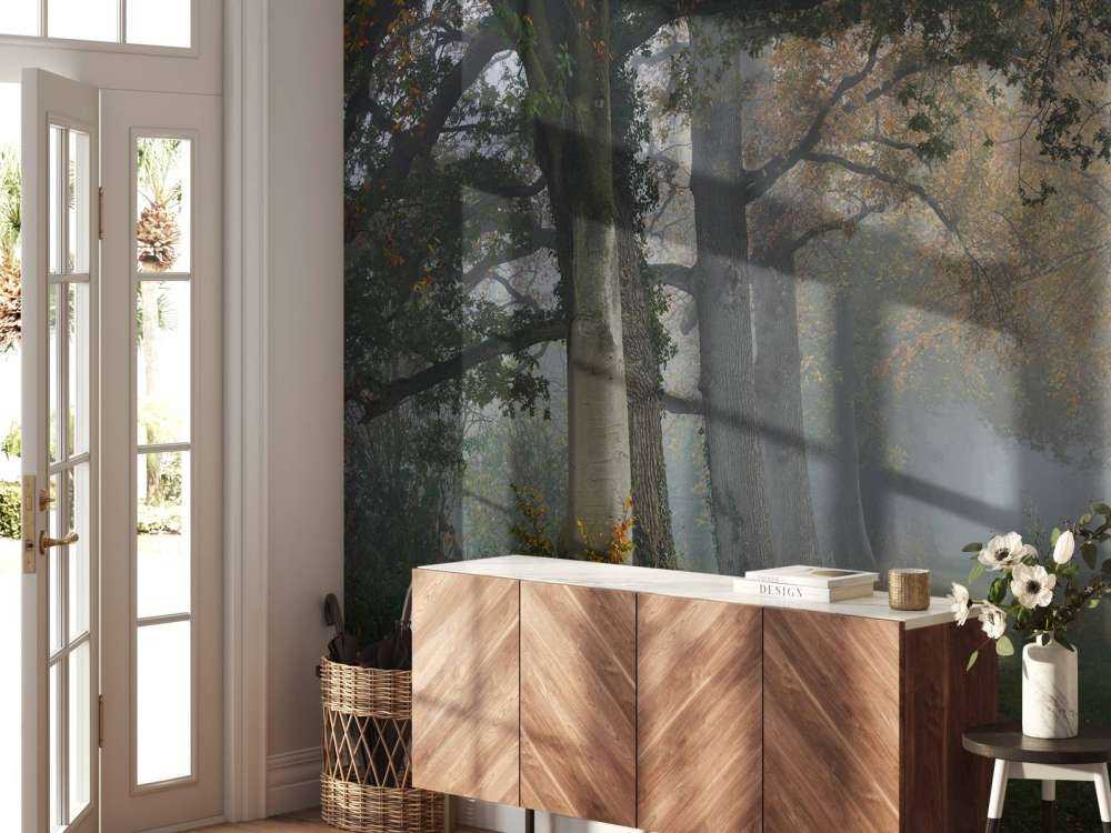 Körfält med träd i dimman