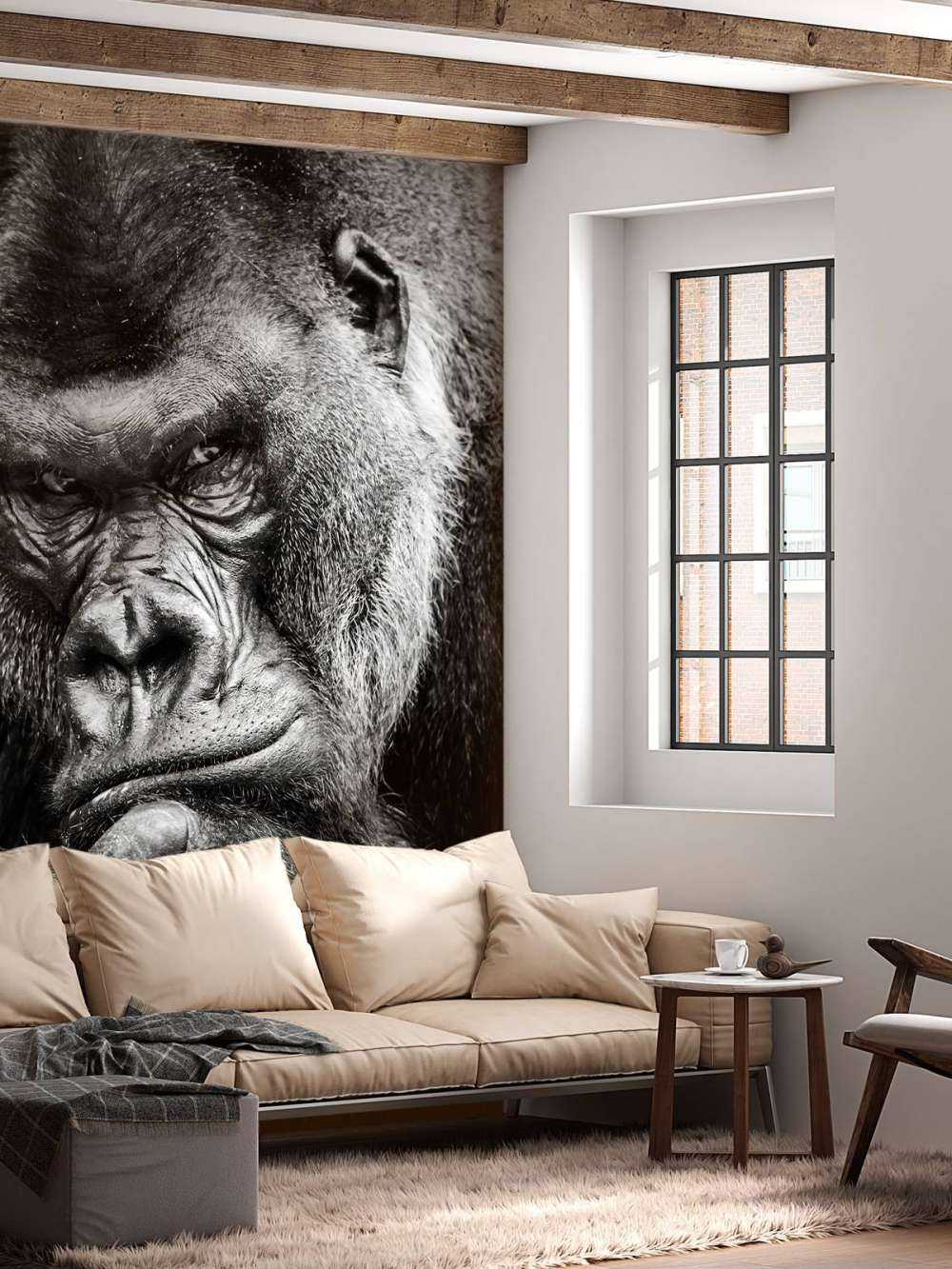 Närbild av en gorilla