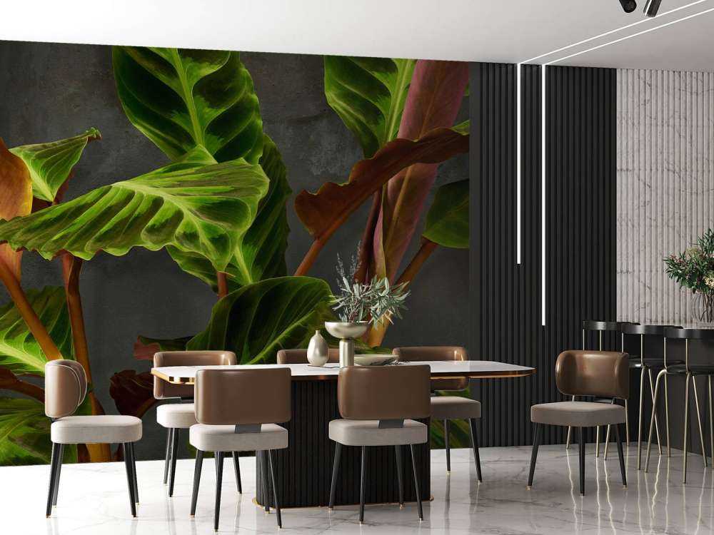 Växt med vackra gröna blad