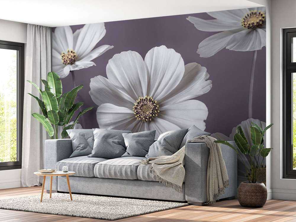 Cosmos blommor
