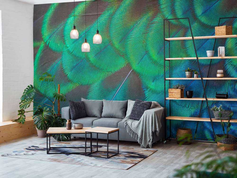 Närbild av påfågelfjädrar