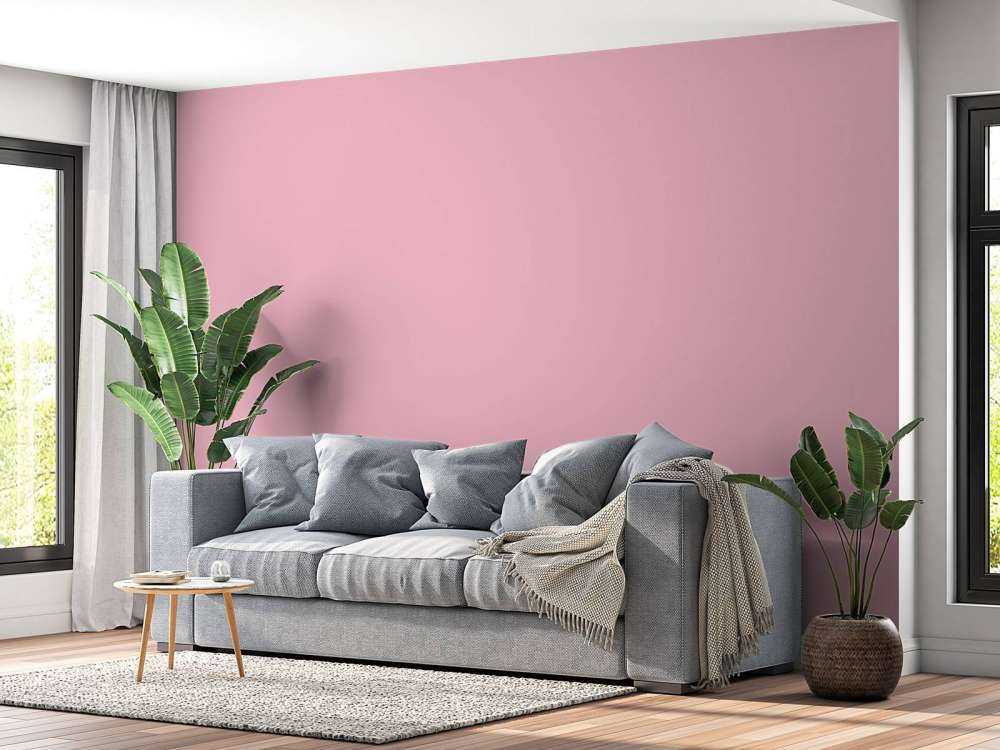 Cameo rosa