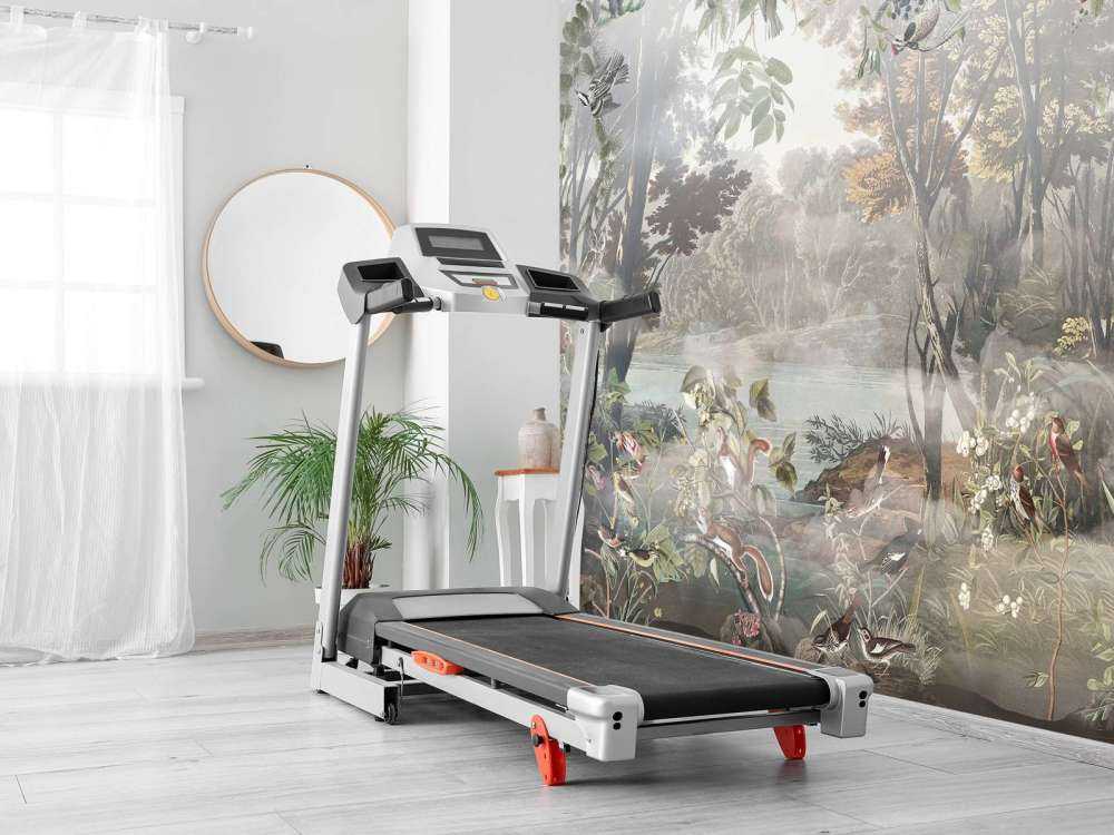 Mystiska Skogs Fåglar