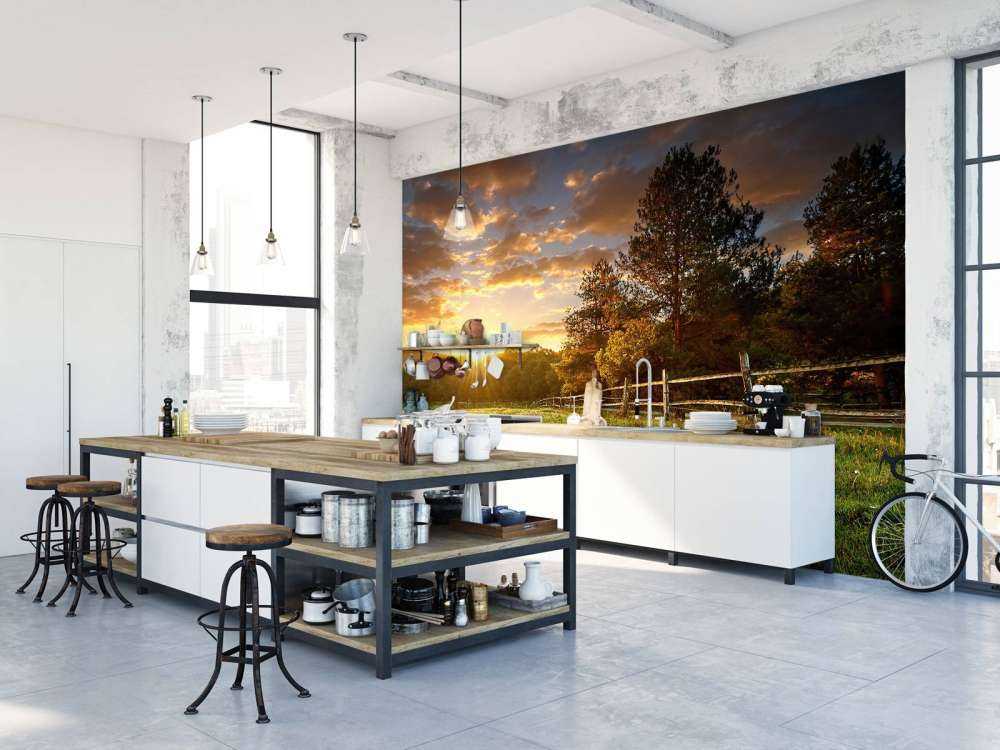 Betesmark vid solnedgången