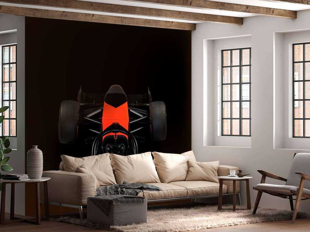 Formel 3 - Cockpitvy - mörk
