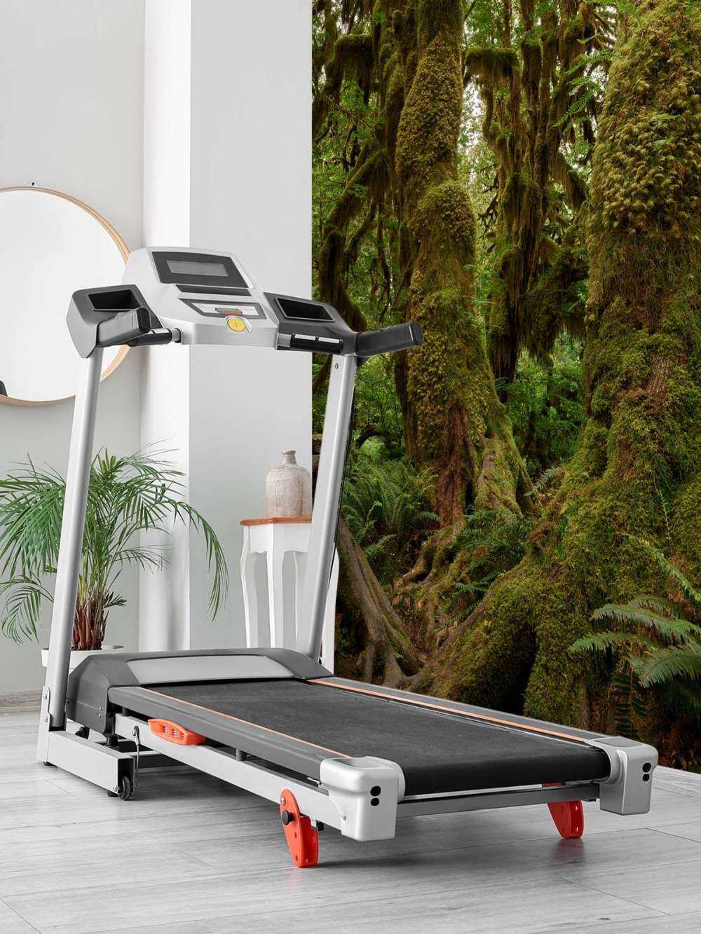 Träd i en regnskog
